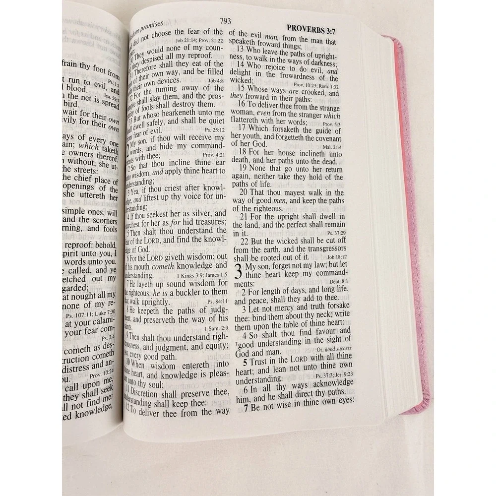 KJV Giant Print Reference Bible Pink Holman Hand Size King James Version